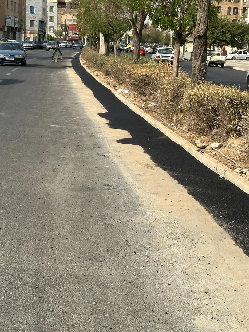 لکه گیری فردیس