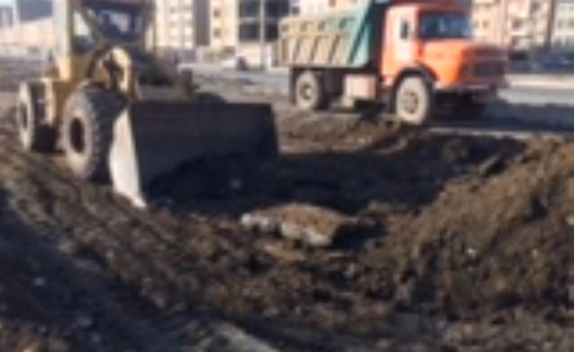 پروژه راه و جدولگذاری